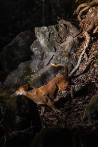 BIB: 
                            <button type="button" onclick="openModal(22163093)" class="btn btn-primary btn-sm float-right btn-popup" data-toggle="modal" data-target=".modal-high-quality">
                        <i class="fas fa-shopping-cart"></i> Add to Cart
                    </button>
                                            <button type="button" onclick="isThisMe(22163093, true)" class="btn btn-success btn-sm float-right btn-popup btn-isme hidden" data-toggle="tooltip" data-placement="bottom" title="นี่คือรูปของคุณใช่ไหม คลิกที่นี่เพื่อเอาเข้าอัลบั้ม">
                        <i class="fas fa-plus"></i> Add to album
                    </button>
                    <button type="button" onclick="isThisMe(22163093, false)" class="btn btn-warning btn-sm float-right btn-popup btn-isnotme hidden">
                        <i class="fas fa-ban"></i> Remove from album
                    </button>